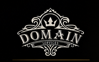 Domain Services CL logo