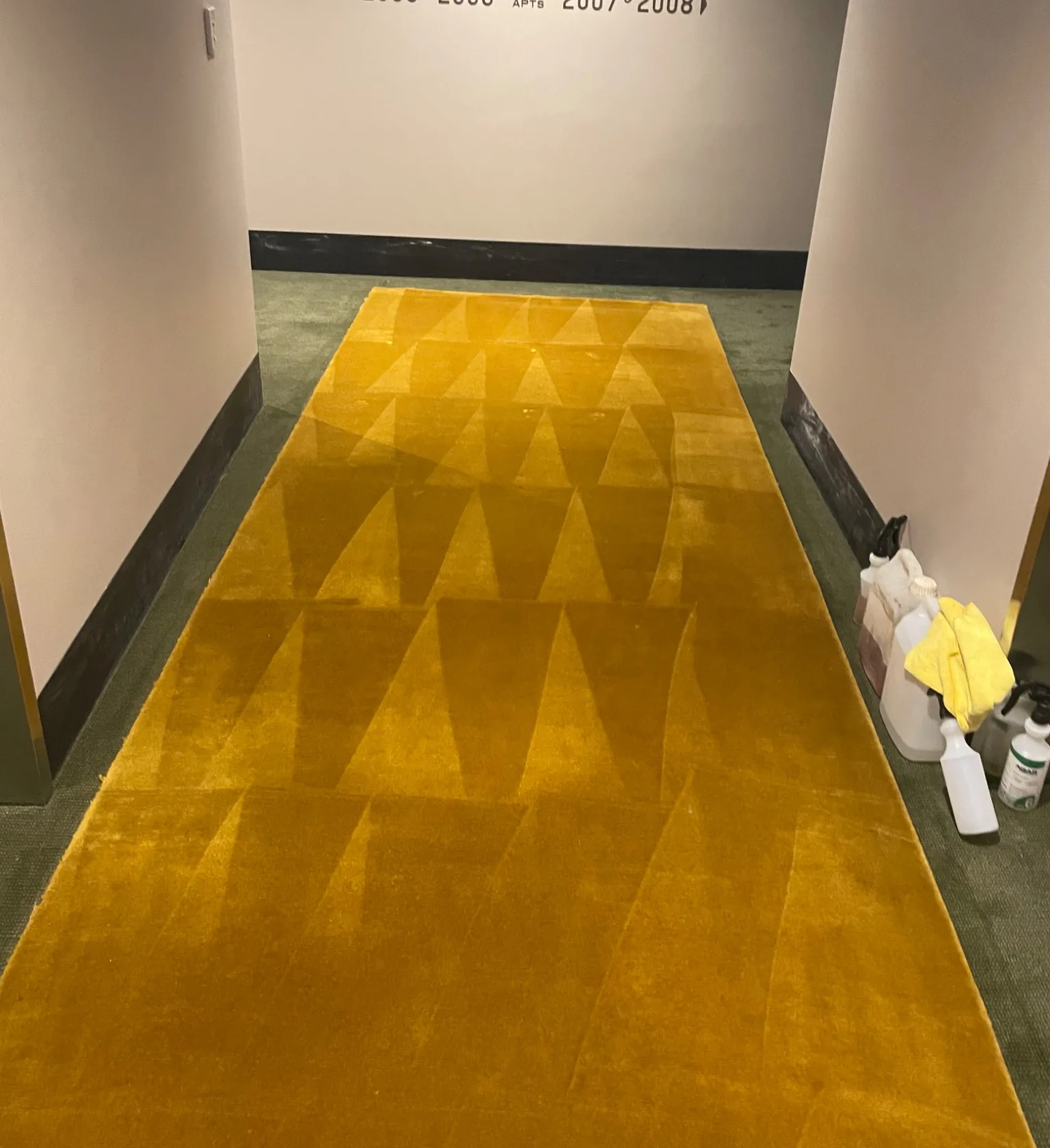 Professionally cleaned carpet and rug area